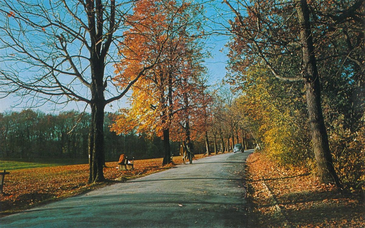 Park-šuma Cmrok, jesen